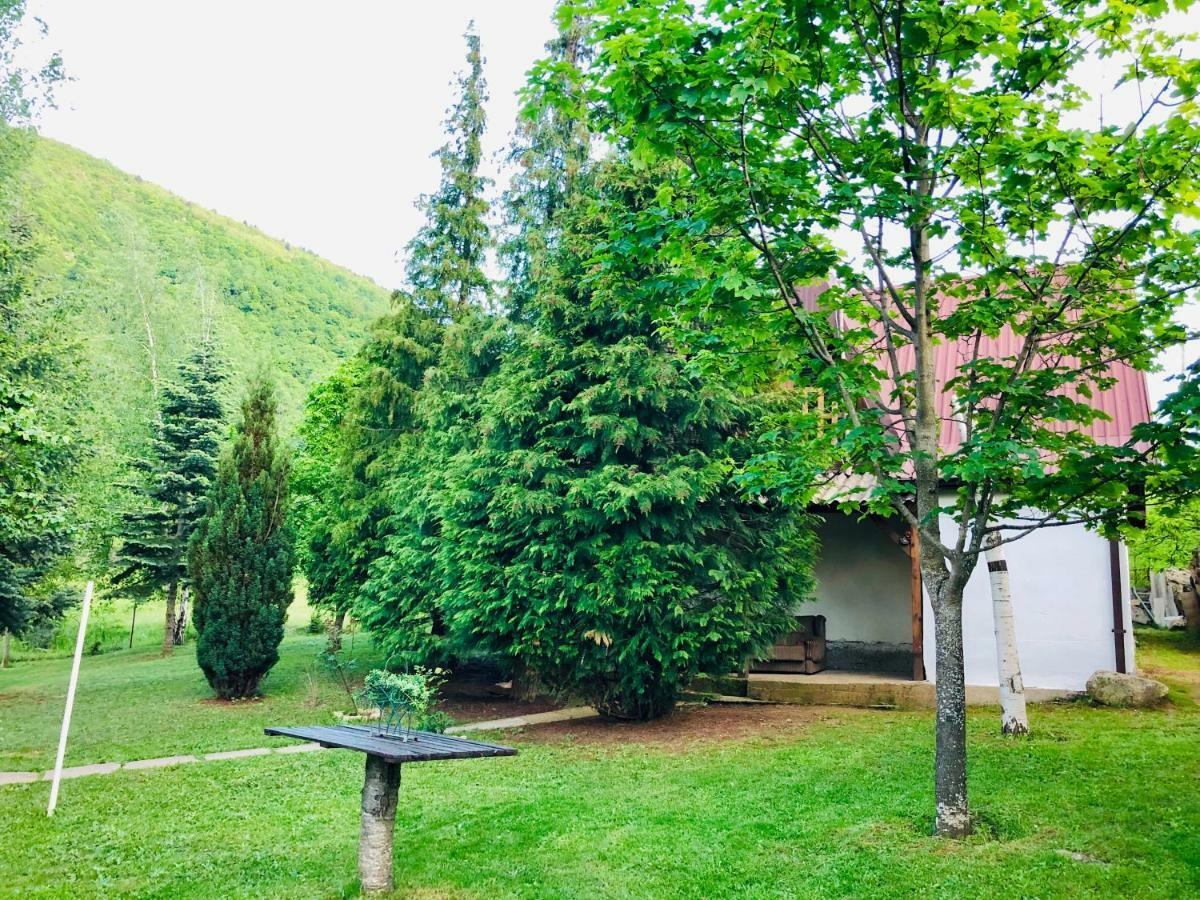 Villa ORKA Pelister - Forest Zone Bitola Exterior foto